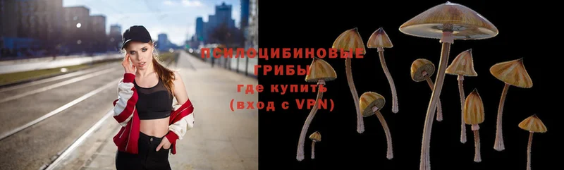 Галлюциногенные грибы Psilocybe  купить  сайты  Ейск 